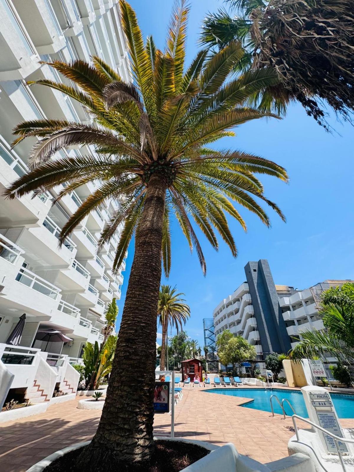 Jameo De Agua, Las Americas Studio Sea View Playa Feñabe Exterior foto
